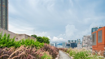在四周高耸的住宅和商业楼宇环绕下，这片开阔的空间为访客带来清新空气。